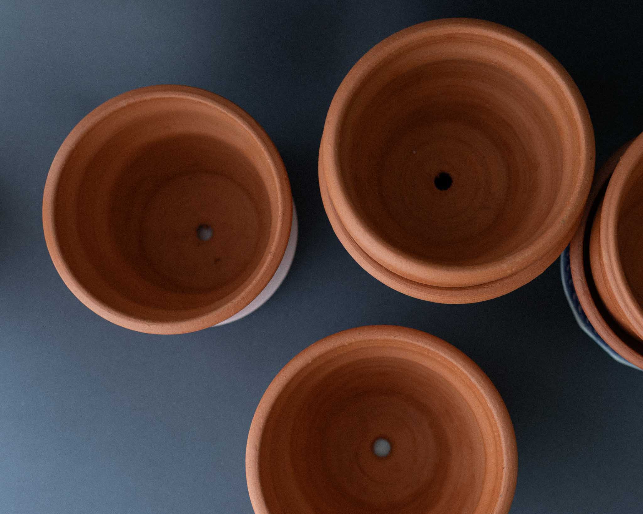 Udumbara | Classic No. 7